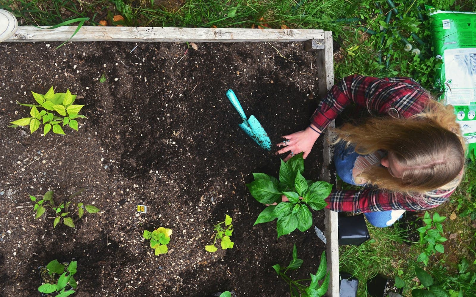 Beginner Gardening cooking technique — How to Start a Vegetable Garden: A Beginner's Guide