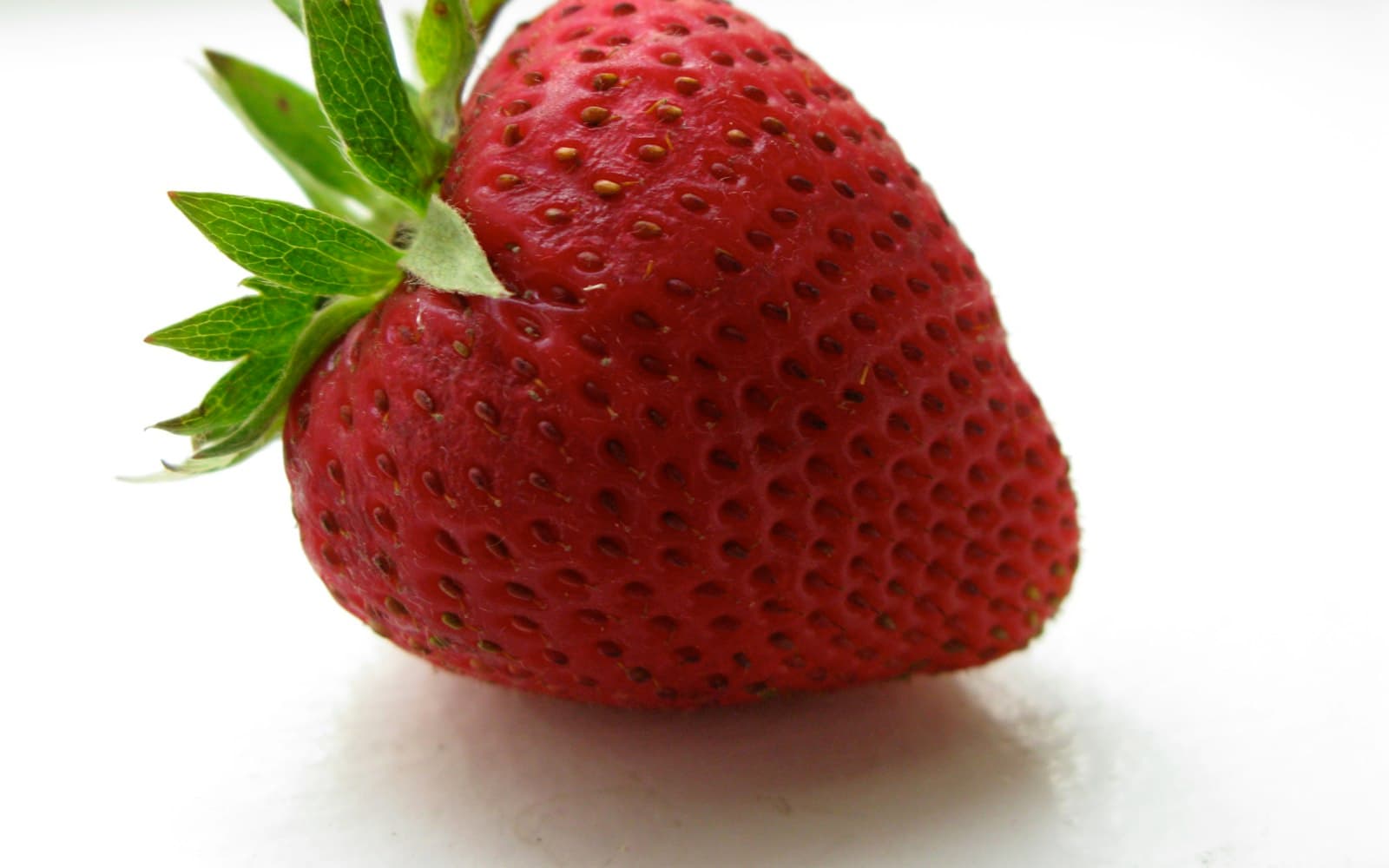 I Grew a Perfect Circle Shaped Strawberry 🍓
