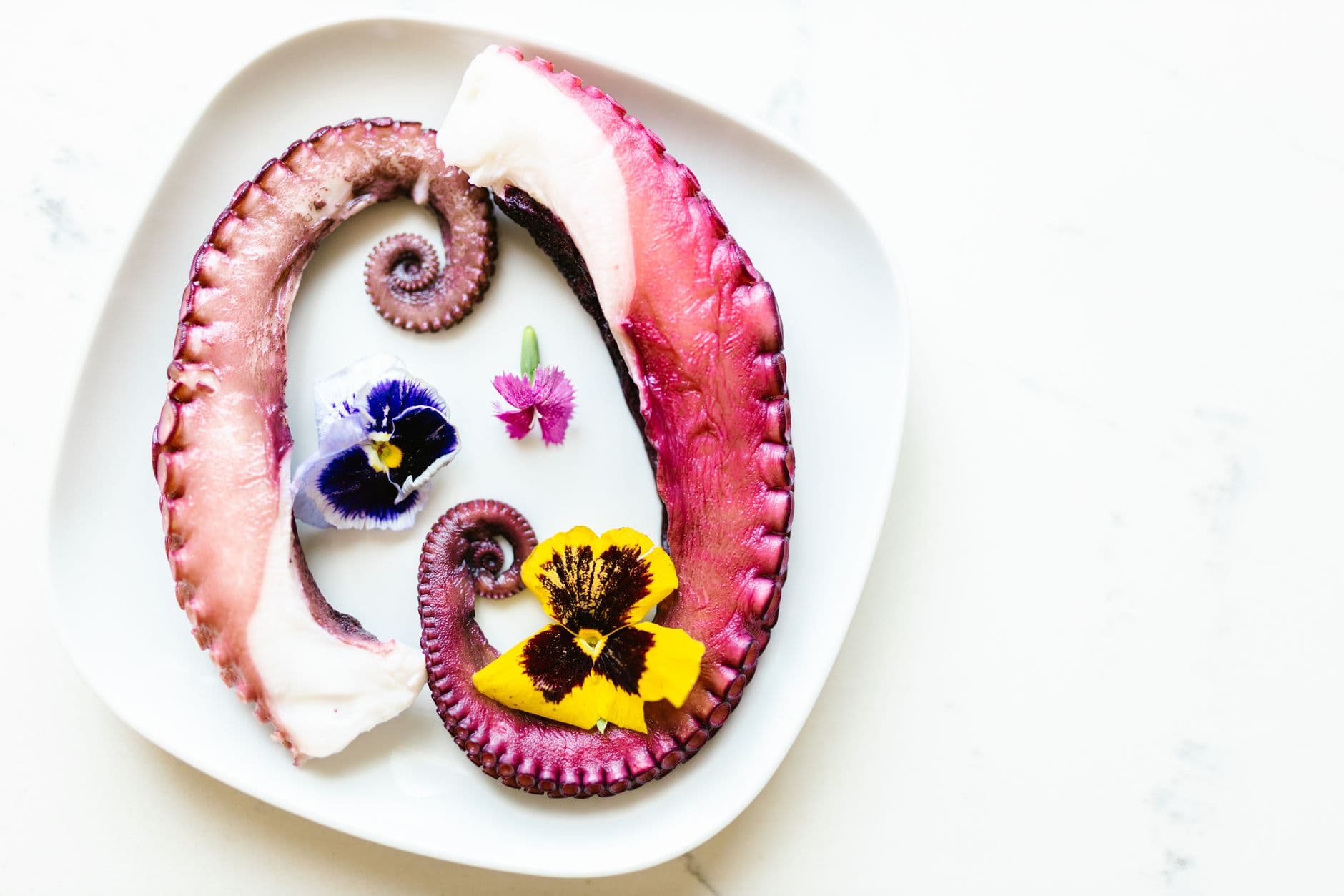 Cooking with Edible Flowers: A Beginner's Guide