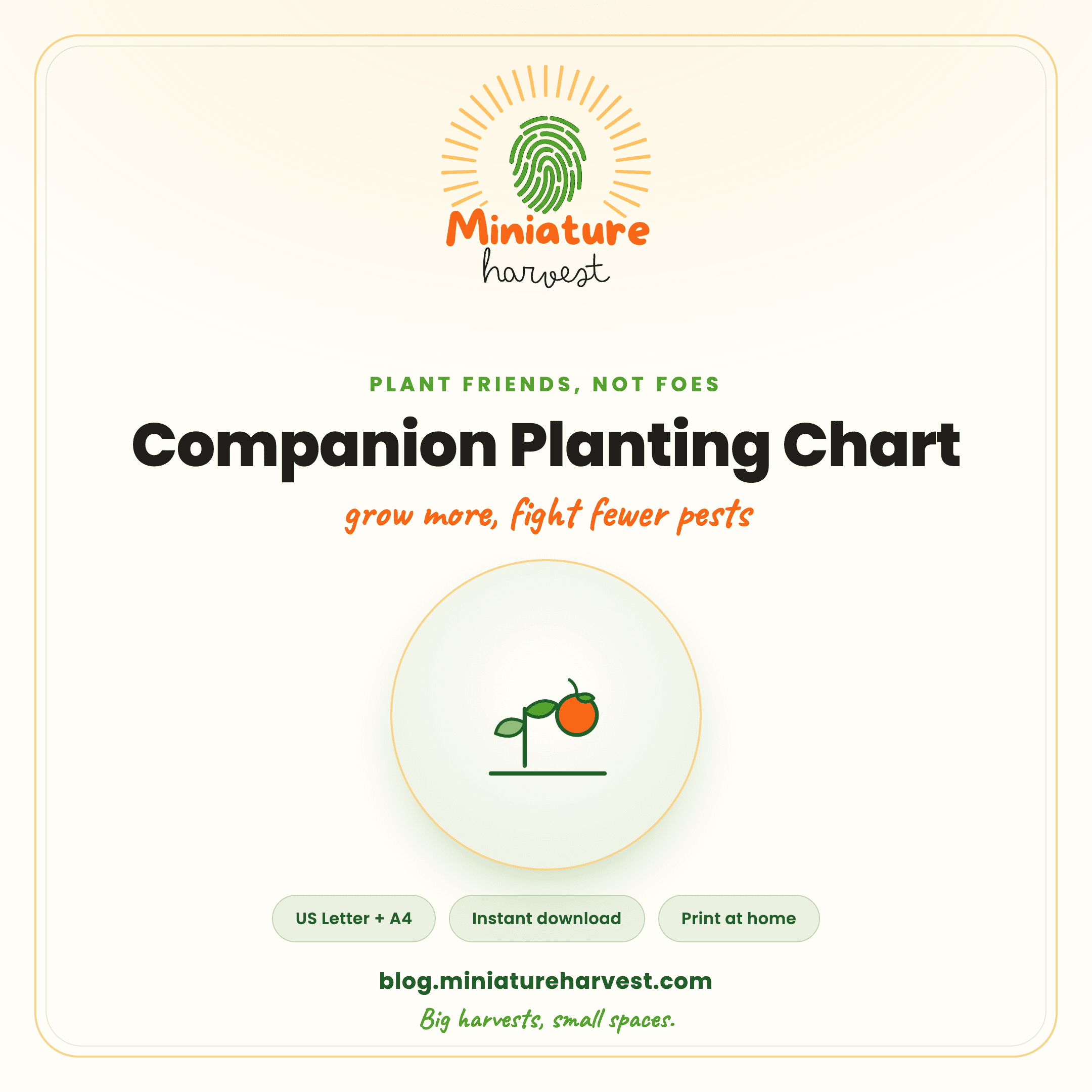 Companion Planting Chart