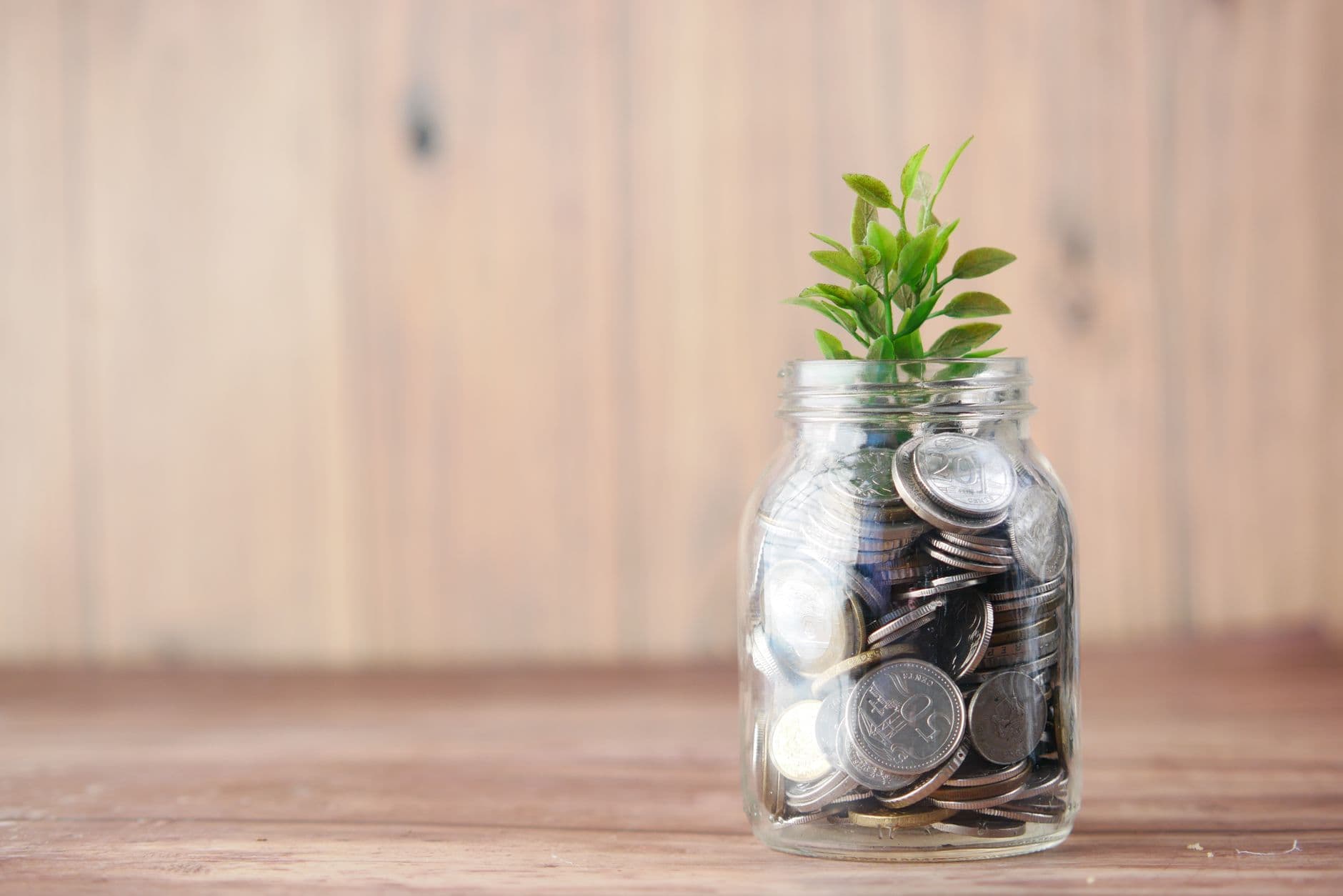 Microgreens vs. Sprouts: What's the Difference?