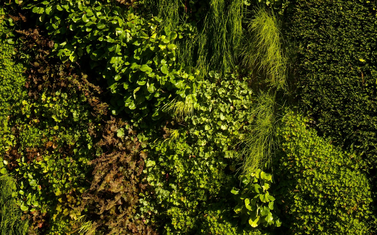 Vertical Gardening cooking technique — No Space? Try Vertical Gardening for Tiny Yards